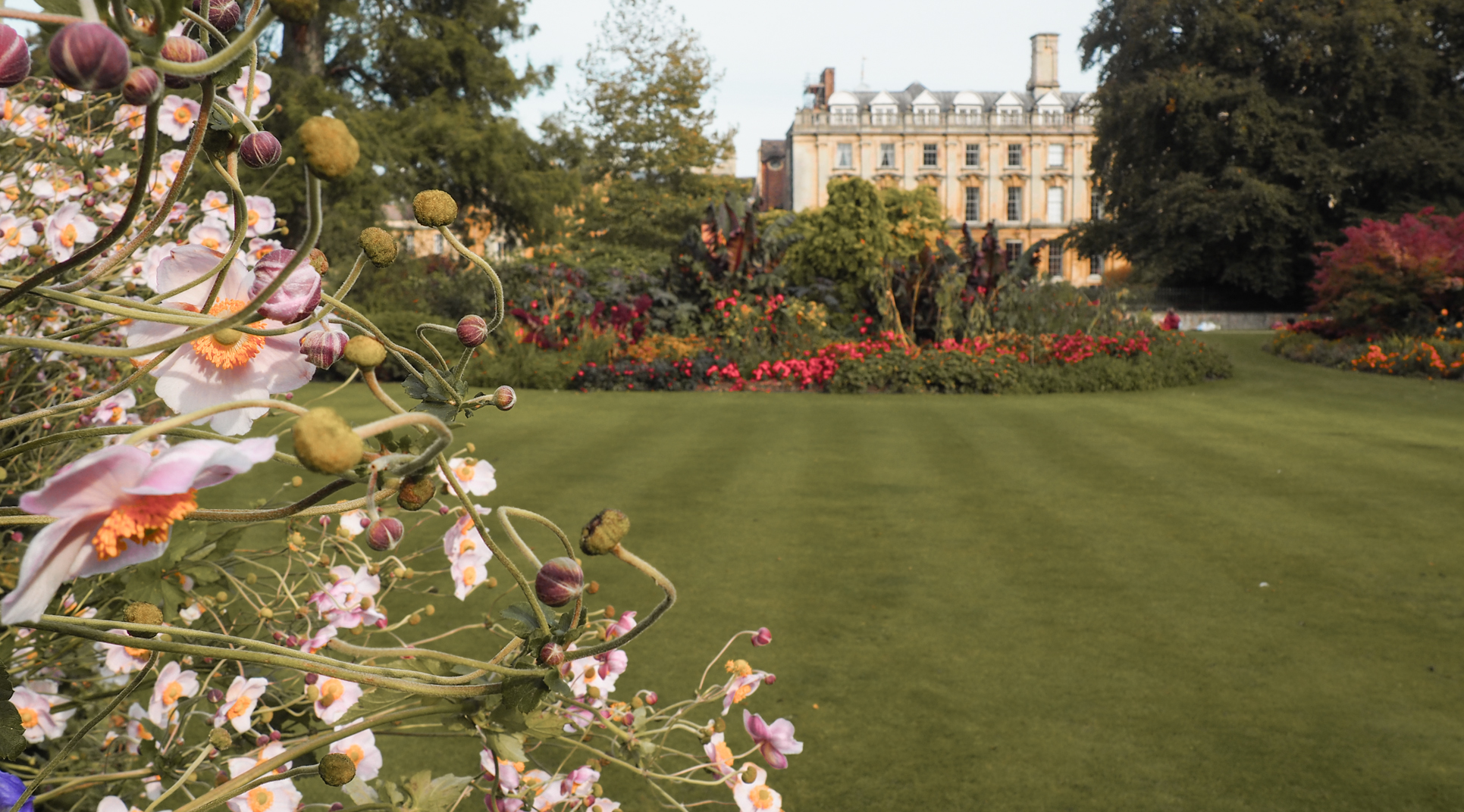 Clare College Cambridge Fellows Garden